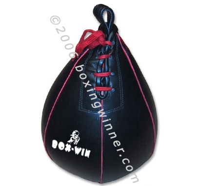 Speed Punching Bags and Accessories